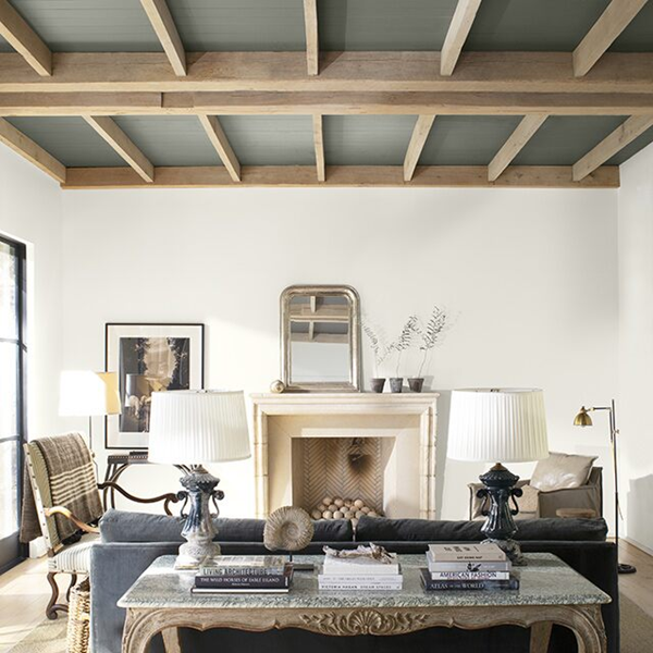 traditional-living-room-with-black-and-white-paint-color-combination