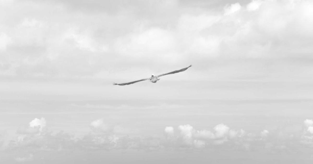 Complete Guide to Standing Desk: Everything You Need to Know