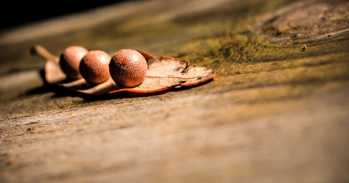 How to Choose the Right Desk Organization for Your Needs