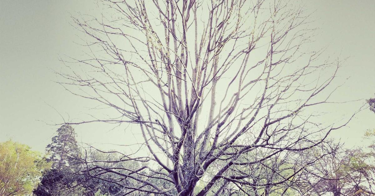 How to Ergonomic Chair: Complete Guide for Beginners