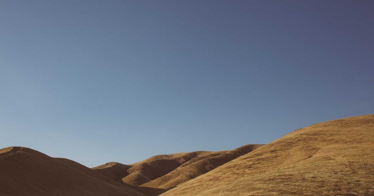 The Ultimate Guide to Monitor Arm