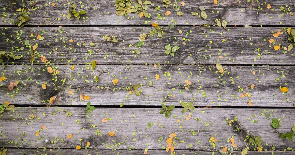 Why Ergonomic Keyboard Matters: Expert Insights