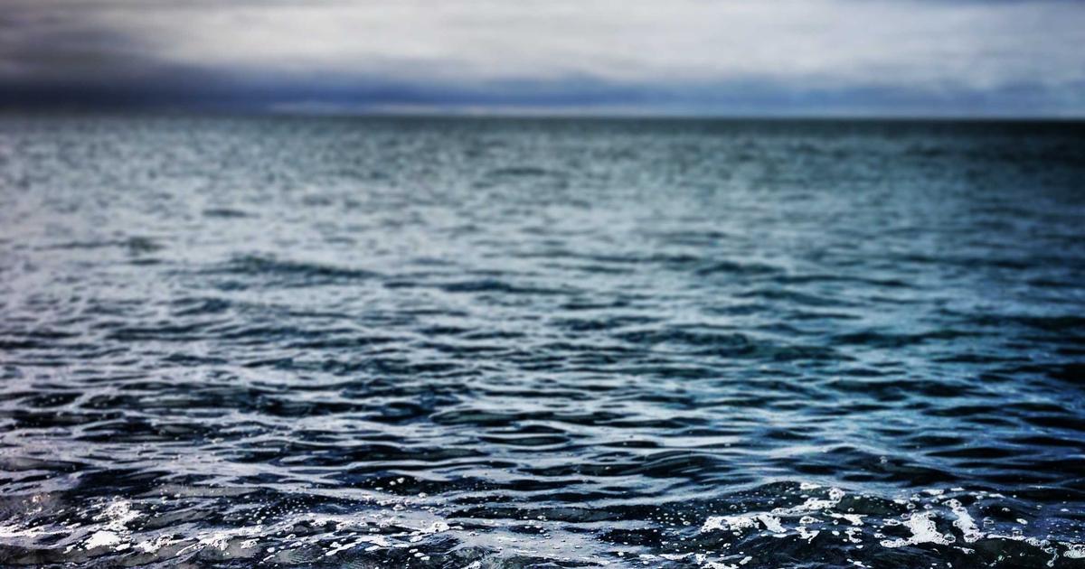 Why Standing Desk Matters: Expert Insights