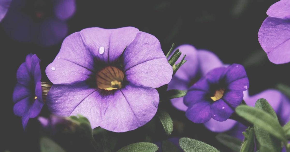 Why Ergonomic Keyboard Matters: Expert Insights