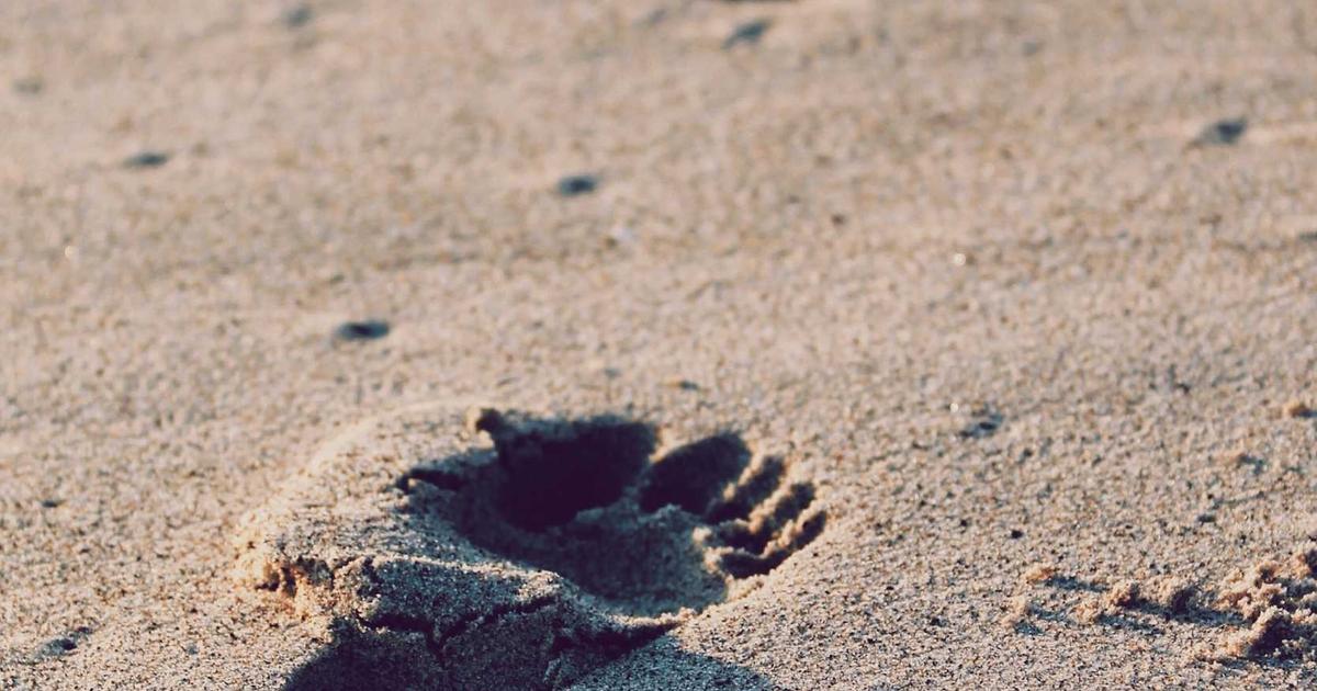 Cable Management Tips Every Ergonomic Office Enthusiast Should Know