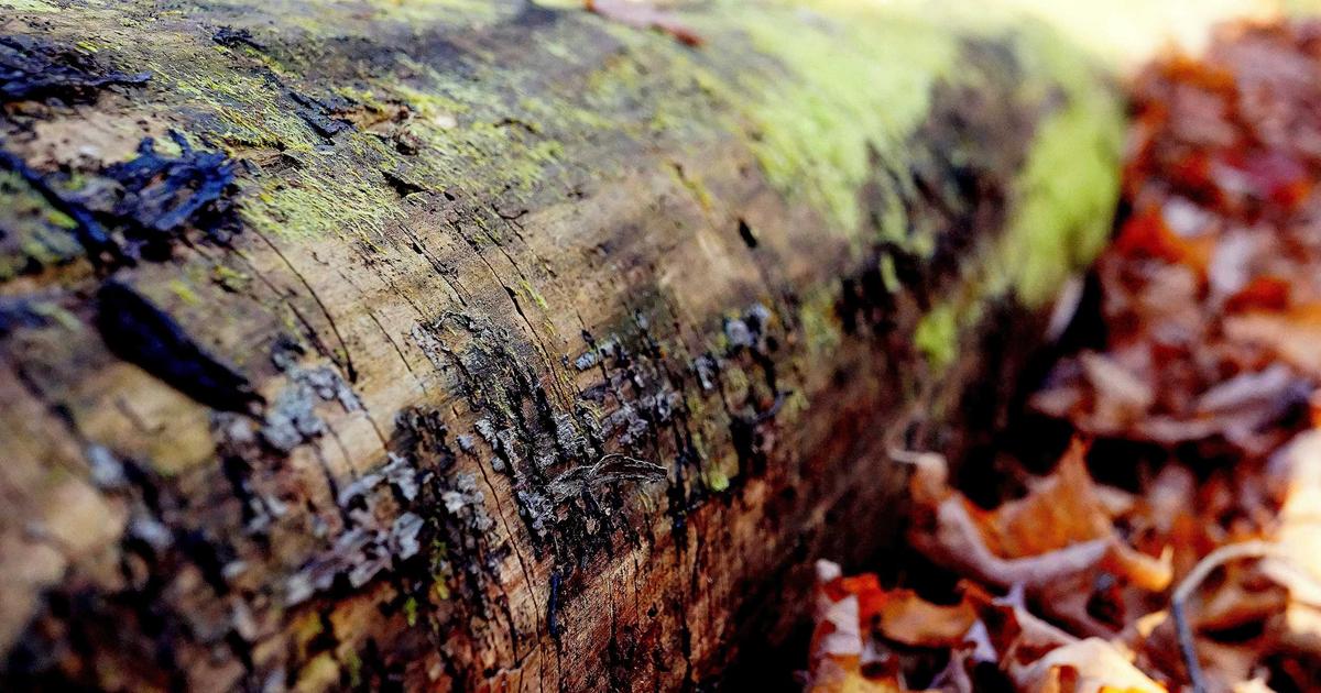 Why Ergonomic Keyboard Matters: Expert Insights