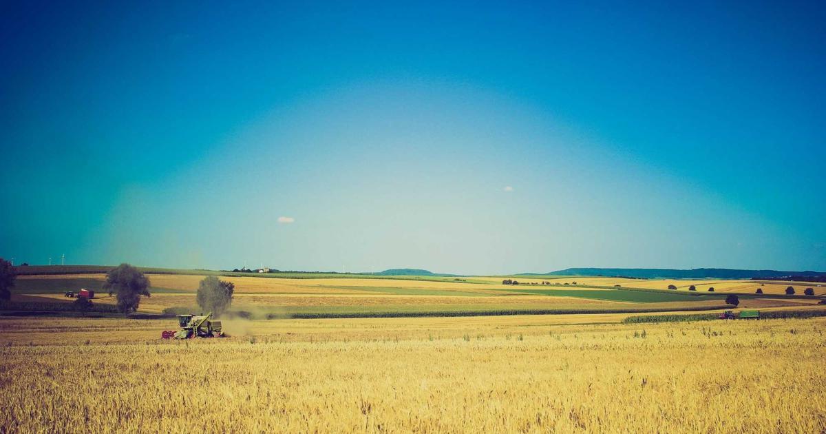 Cable Management Tips Every Ergonomic Office Enthusiast Should Know